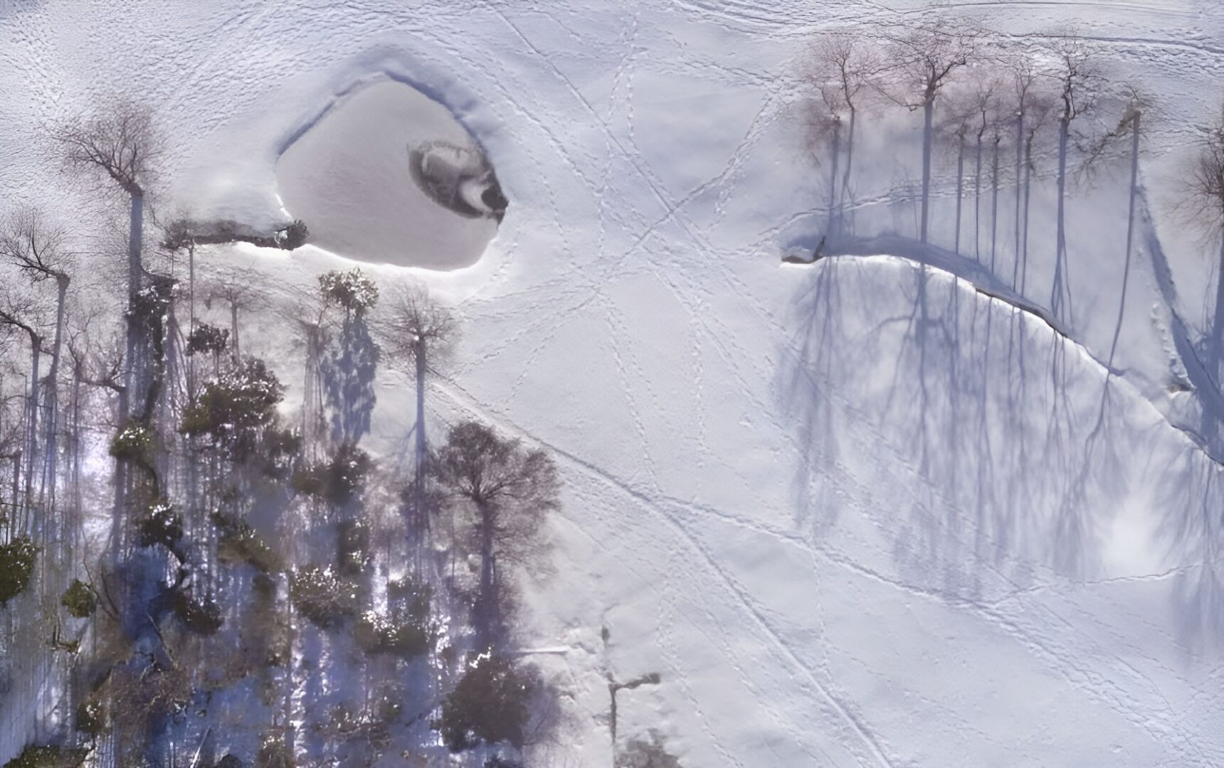 A bird flying over the snow covered ground.