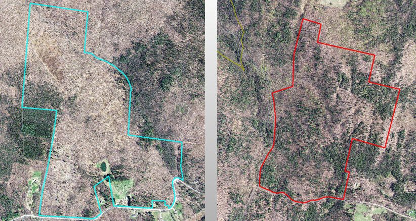 Two aerial photos of a forest with red and green lines.