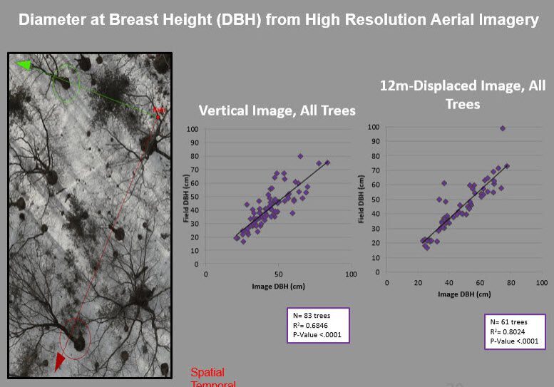 A chart showing tree height and the vertical image.